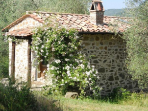 Podere di Maggio - Casa Olivi